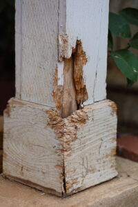 Wood Rot .. Rotten to the Core!   Carpentry and Handyman Suggestions for Handling Wood Rot Repair